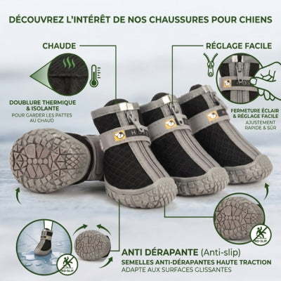 Intérêt de chaussure pour chien