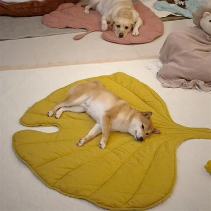 Jaune tapis feuille pour chien chillpup