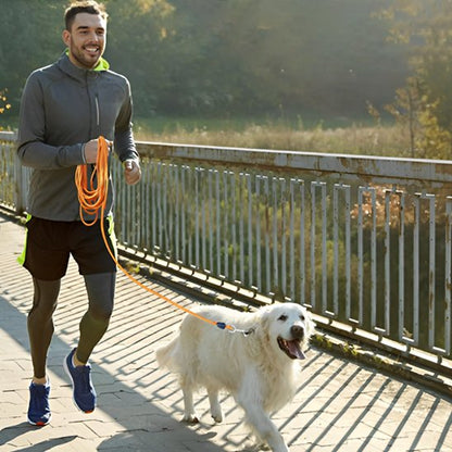 jogging longe pour chien orange