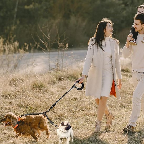 La maitresse tiens les chiens avec laisse double pour chien 