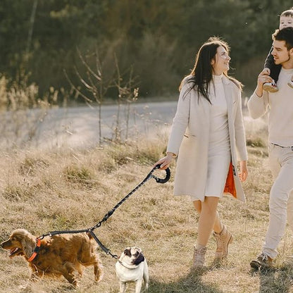 La maitresse tiens les chiens avec laisse double pour chien 