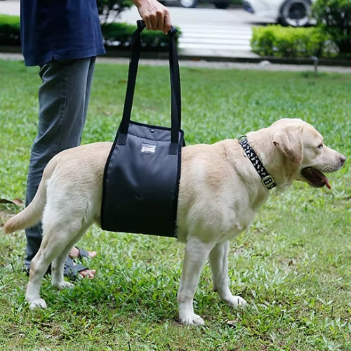 Labrador maintenue harnais de levage pour chien