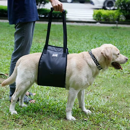 Labrador maintenue harnais de levage pour chien