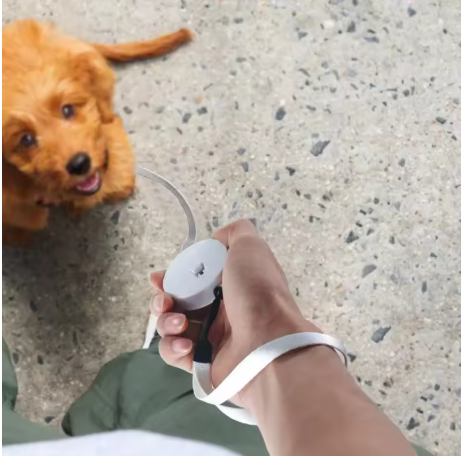 laisse à enrouleur pour chien assis