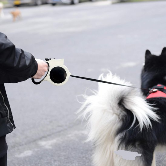 laisse a enrouleur pour chien blanc balade ville
