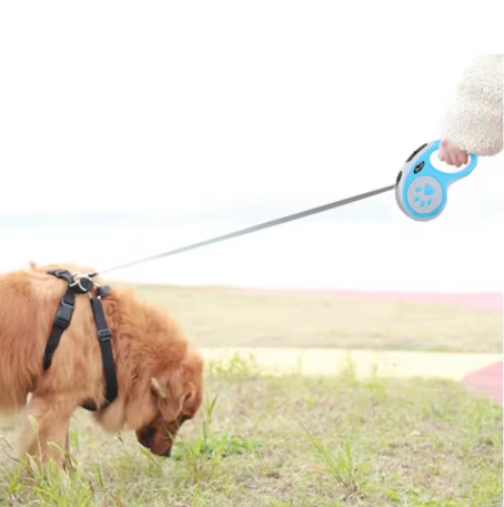 laisse a enrouleur pour chien bleu