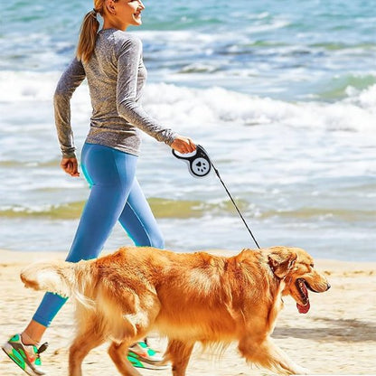 laisse a enrouleur pour chien bord mer