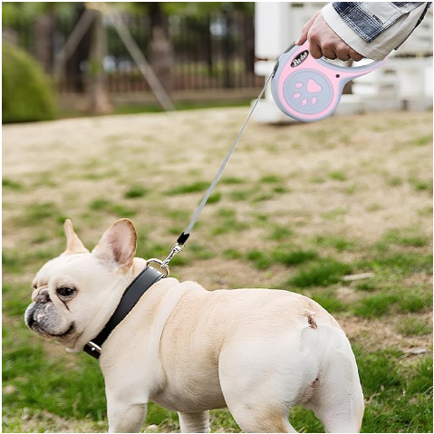 laisse a enrouleur pour chien bouledogue
