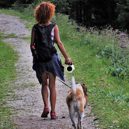 laisse a enrouleur pour chien chien balade
