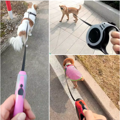 laisse a enrouleur pour chien divers position