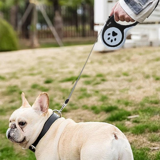 laisse a enrouleur pour chien gris