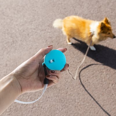 laisse a enrouleur pour chien laisse bleu