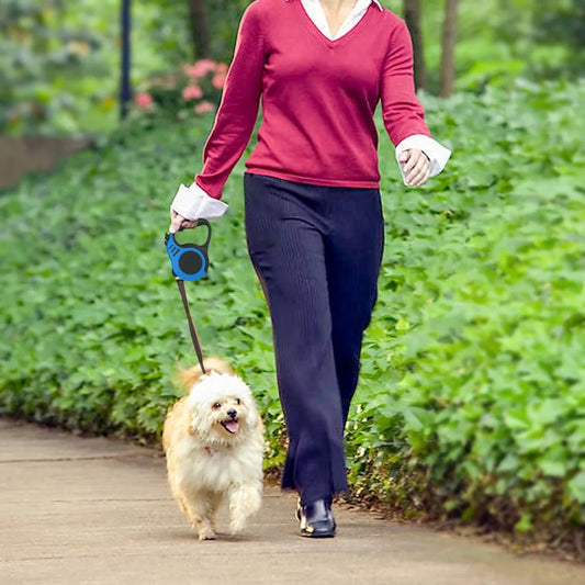 laisse a enrouleur pour chien marchant chemin
