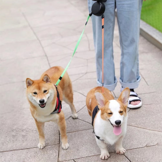 laisse a enrouleur pour chien marche trottoir