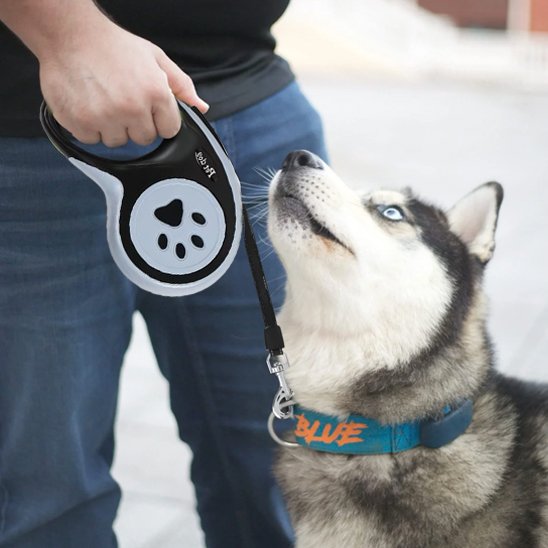 laisse a enrouleur pour chien neige