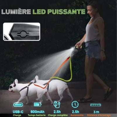 Laisse à enrouleur pour chien nocturne
