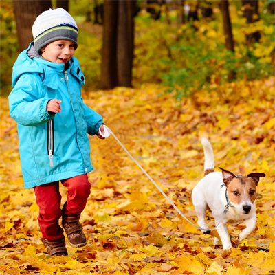 laisse a enrouleur pour chien petit garçon