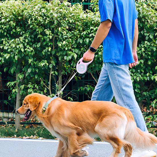laisse a enrouleur pour chien rose