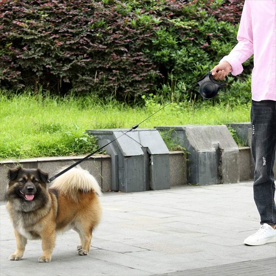 laisse a enrouleur pour chien sur trottoir