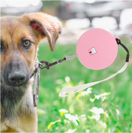 laisse a enrouleur pour chien teckel