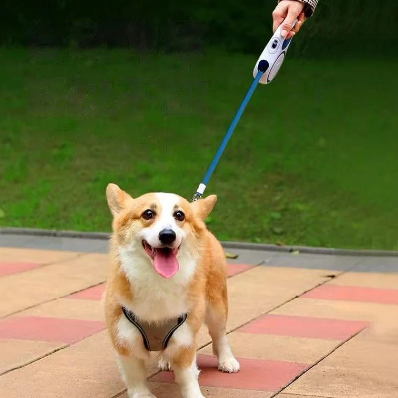 laisse a enrouleur pour chien terrasse