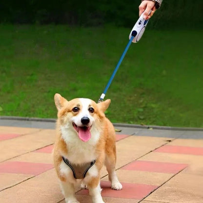 laisse a enrouleur pour chien terrasse