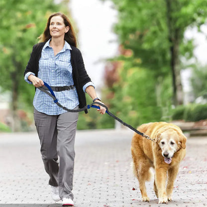 laisse canicroos laisse poignee marine