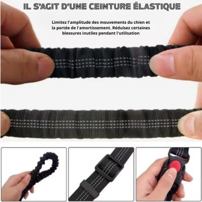 Laisse canicross ceinture élastique