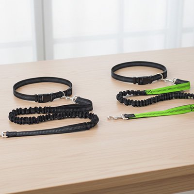 Laisse canicross double mousquetons