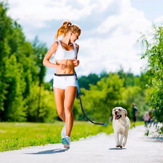 Laisse canicross fonctionnel durable