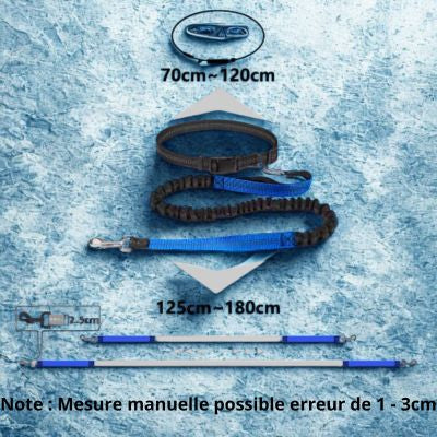 Laisse canicross mesure
