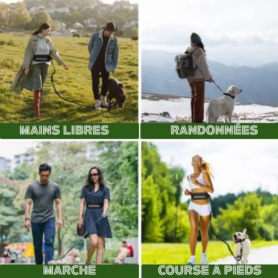 Laisse canicross multifonctionnelle grands espaces