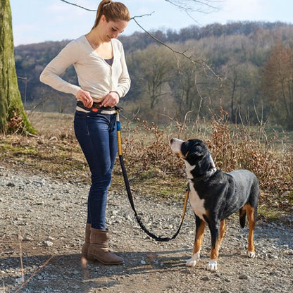 Laisse canicross sécuritaire