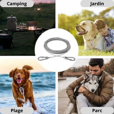 Laisse d'arrimage pour chien robuste extérieur