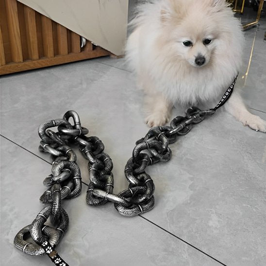 Laisse chien confortable décorative