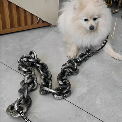 Laisse chien confortable décorative