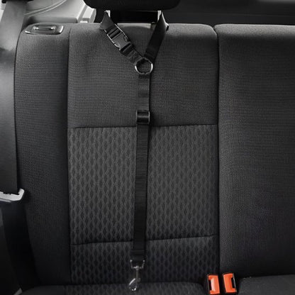 Laisse de chien sécuritaire voiture