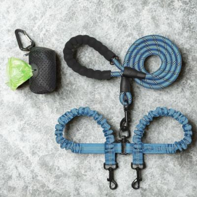 laisse double pour chien bleu