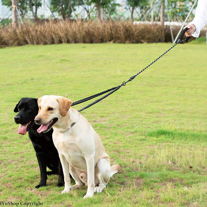 laisse double pour chien labrador