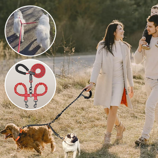 laisse double pour chien marche bois