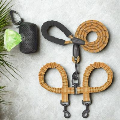 laisse double pour chien orange