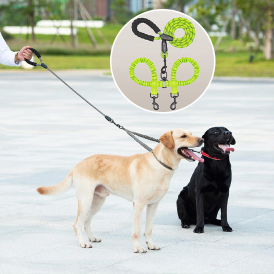 laisse double pour chien sur esplanade