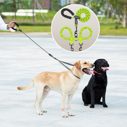 laisse double pour chien sur esplanade