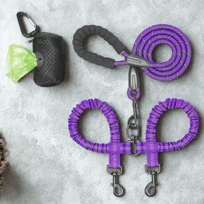 laisse double pour chien violet
