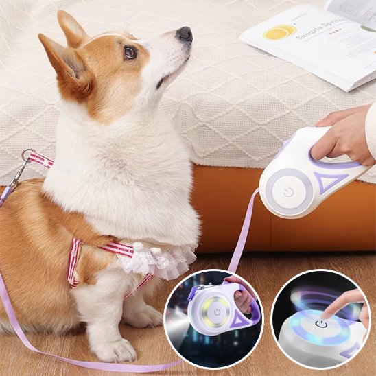 laisse enrouleur pour chien assis parquet