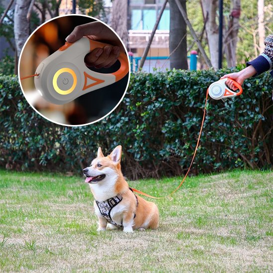 laisse enrouleur pour chien chien assis pré