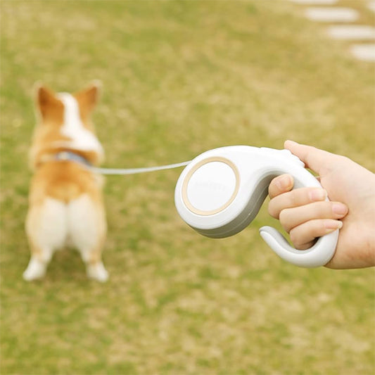 Laisse enrouleur pour chien / FreePaws™