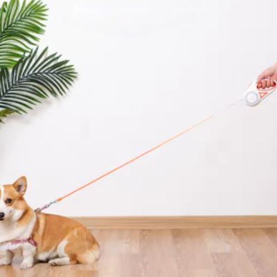 laisse enrouleur pour chien enrouleur orange