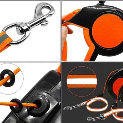 laisse enrouleur pour chien extensible