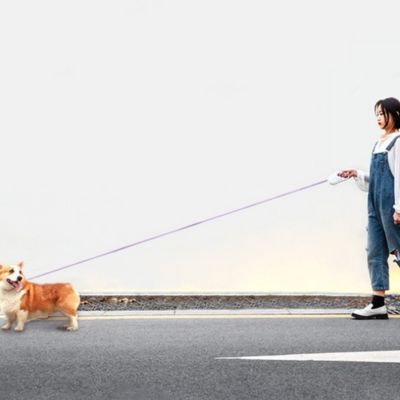 laisse enrouleur pour chien fille promene chien